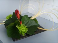 /album/fleursetplantesfleuries/ssl25172-jpg/