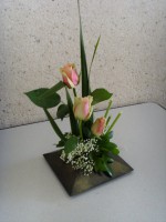 /album/fleursetplantesfleuries/ssl24193-jpg/